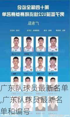 广东队球员最新名单,广东队球员最新名单和编号