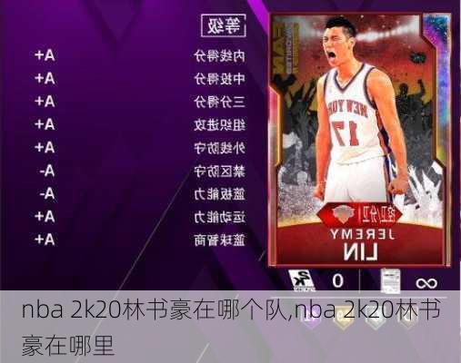 nba 2k20林书豪在哪个队,nba 2k20林书豪在哪里