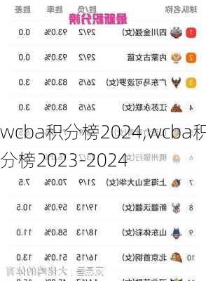 wcba积分榜2024,wcba积分榜2023-2024