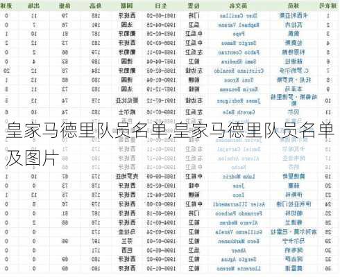 皇家马德里队员名单,皇家马德里队员名单及图片