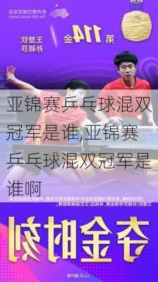 亚锦赛乒乓球混双冠军是谁,亚锦赛乒乓球混双冠军是谁啊