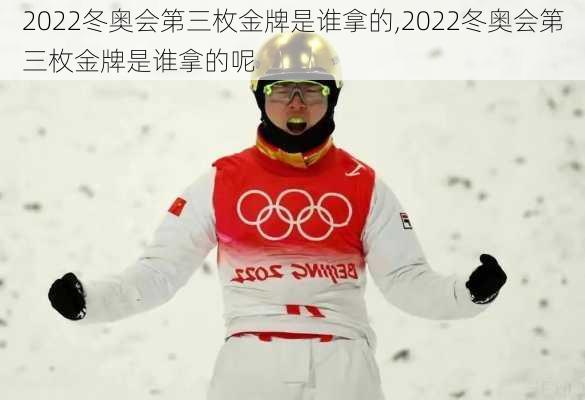 2022冬奥会第三枚金牌是谁拿的,2022冬奥会第三枚金牌是谁拿的呢