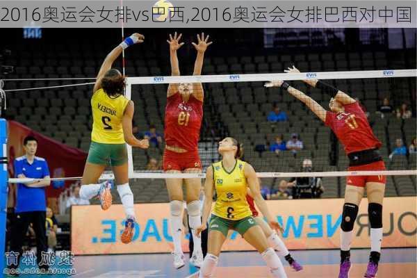 2016奥运会女排vs巴西,2016奥运会女排巴西对中国