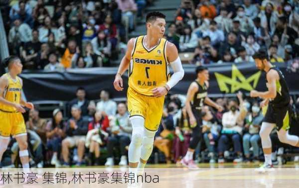 林书豪 集锦,林书豪集锦nba