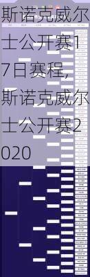 斯诺克威尔士公开赛17日赛程,斯诺克威尔士公开赛2020