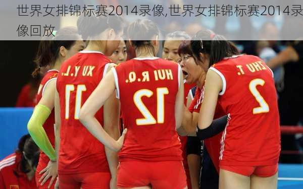 世界女排锦标赛2014录像,世界女排锦标赛2014录像回放