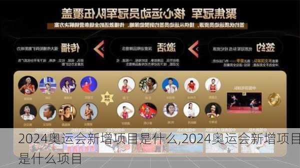 2024奥运会新增项目是什么,2024奥运会新增项目是什么项目