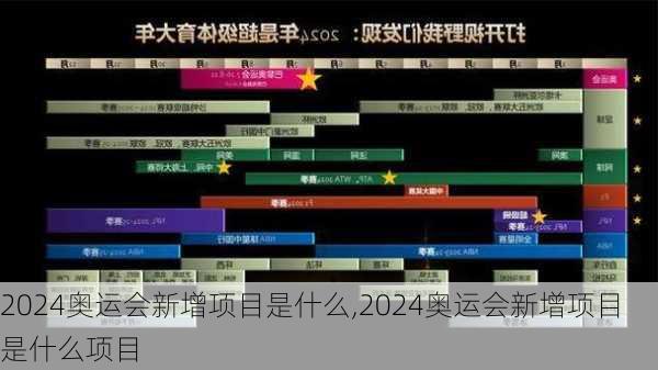 2024奥运会新增项目是什么,2024奥运会新增项目是什么项目