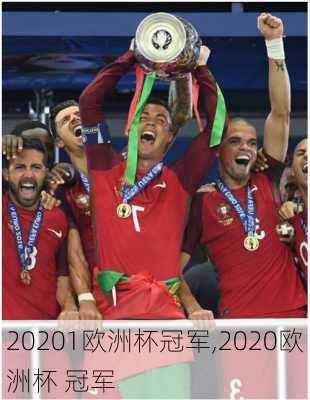 20201欧洲杯冠军,2020欧洲杯 冠军