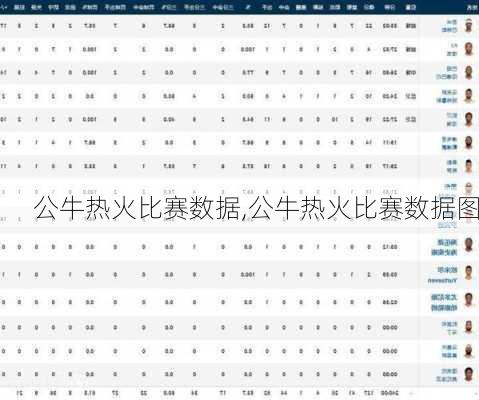 公牛热火比赛数据,公牛热火比赛数据图