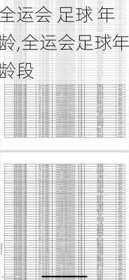 全运会 足球 年龄,全运会足球年龄段