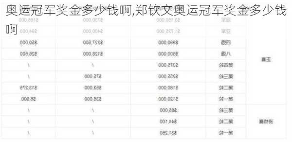 奥运冠军奖金多少钱啊,郑钦文奥运冠军奖金多少钱啊