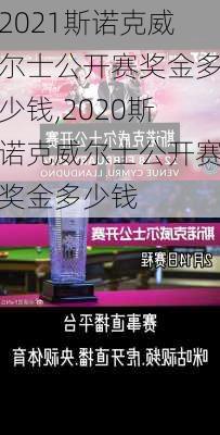 2021斯诺克威尔士公开赛奖金多少钱,2020斯诺克威尔士公开赛奖金多少钱