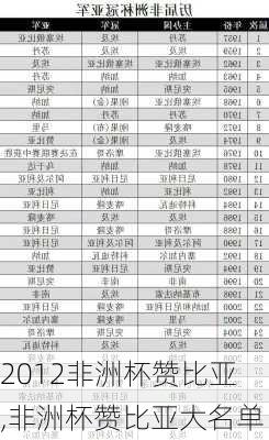 2012非洲杯赞比亚,非洲杯赞比亚大名单