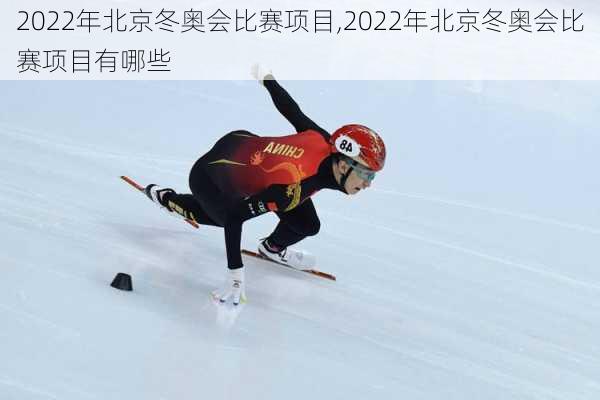 2022年北京冬奥会比赛项目,2022年北京冬奥会比赛项目有哪些