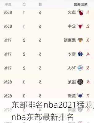 东部排名nba2021猛龙,nba东部最新排名