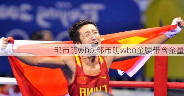 邹市明wbo,邹市明wbo金腰带含金量