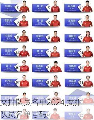 女排队员名单2024,女排队员名单号码