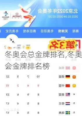 冬奥会总金牌排名,冬奥会金牌排名榜