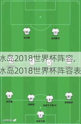 冰岛2018世界杯阵容,冰岛2018世界杯阵容表