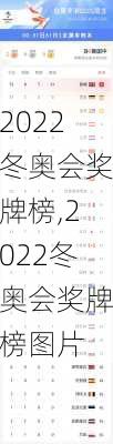 2022冬奥会奖牌榜,2022冬奥会奖牌榜图片