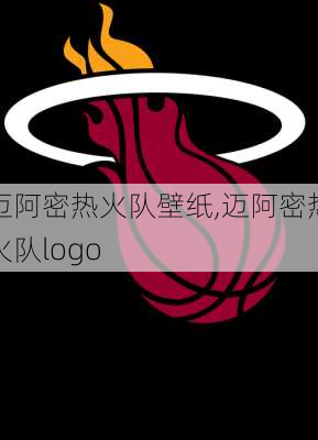 迈阿密热火队壁纸,迈阿密热火队logo