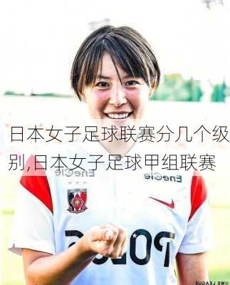 日本女子足球联赛分几个级别,日本女子足球甲组联赛