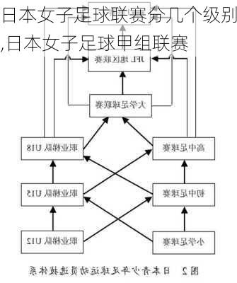 日本女子足球联赛分几个级别,日本女子足球甲组联赛