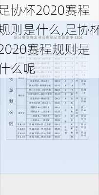 足协杯2020赛程规则是什么,足协杯2020赛程规则是什么呢