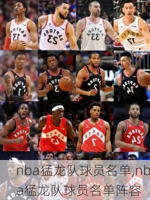 nba猛龙队球员名单,nba猛龙队球员名单阵容